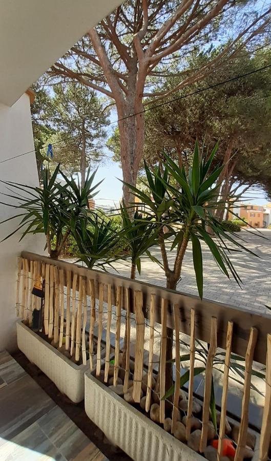 T2-3 Cabine Les Yuccas 200 M Plage Du Boucanet Rive Droite Grau Du Roi Ideal 2-4 Pers Ле-Гро-дю-Руа Экстерьер фото