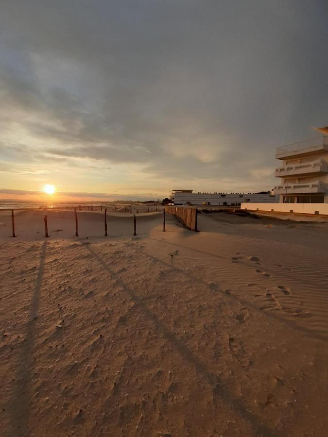 T2-3 Cabine Les Yuccas 200 M Plage Du Boucanet Rive Droite Grau Du Roi Ideal 2-4 Pers Ле-Гро-дю-Руа Экстерьер фото
